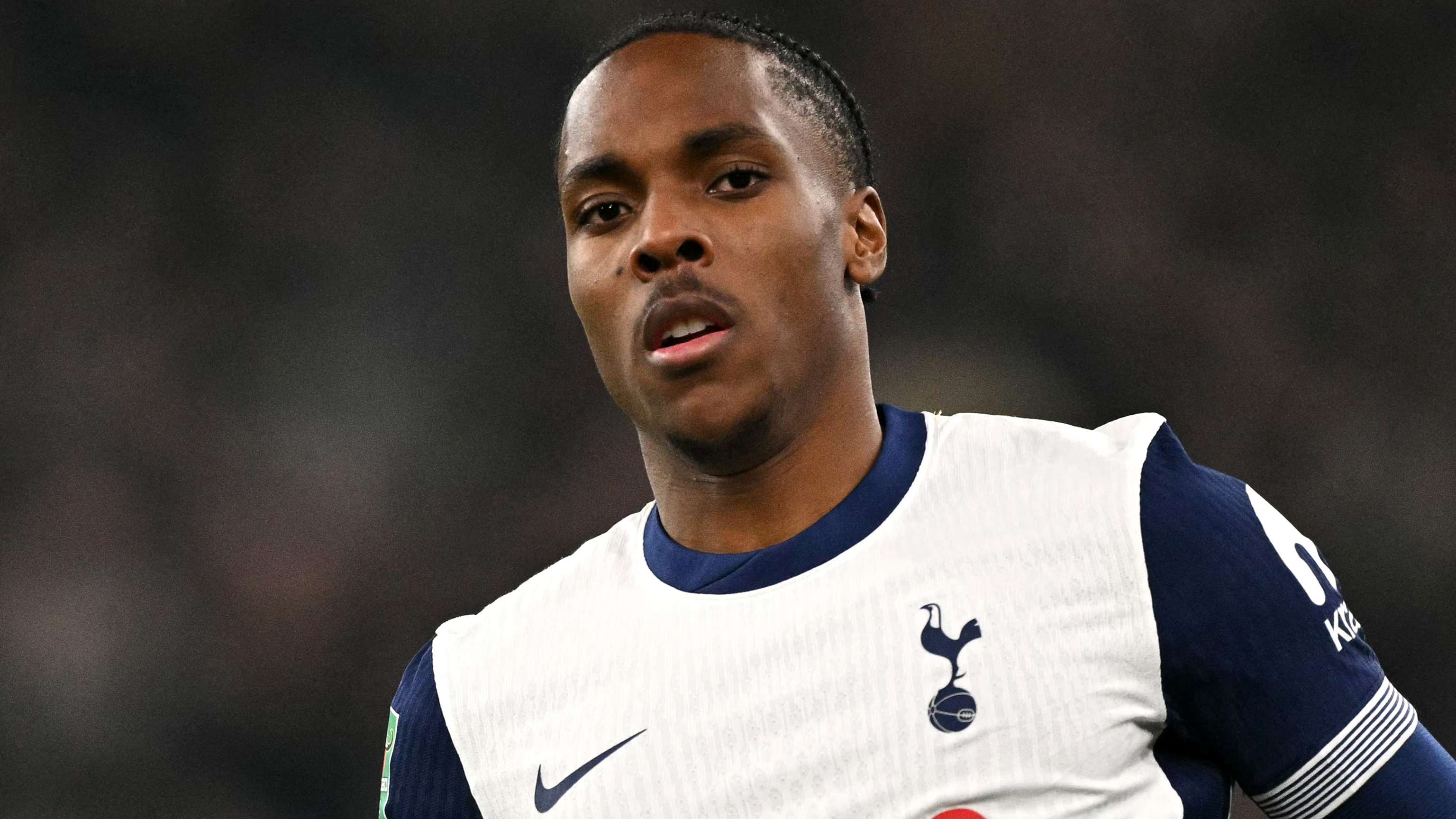 表现充满期 表现充满期